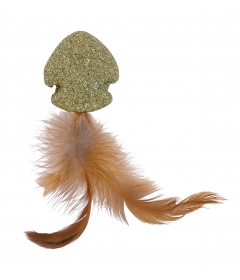 Poisson Nageur à Plume HC Wouapy - 1