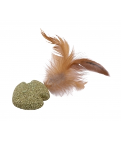 Poisson Nageur à Plume HC Wouapy - 2