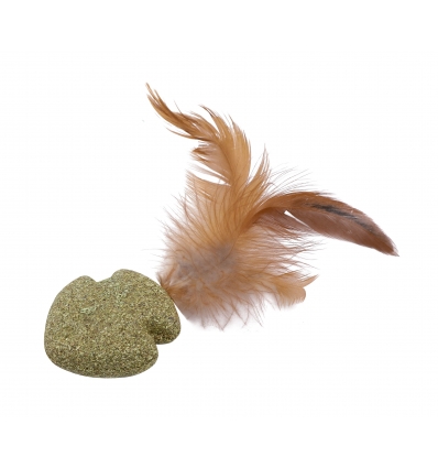 Poisson Nageur à Plume HC Wouapy - 2