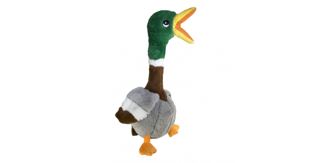 Kong - Shakers Honkers Duck Kong - 1