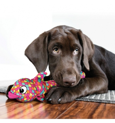 Kong - Wubba Finz Kong - 2