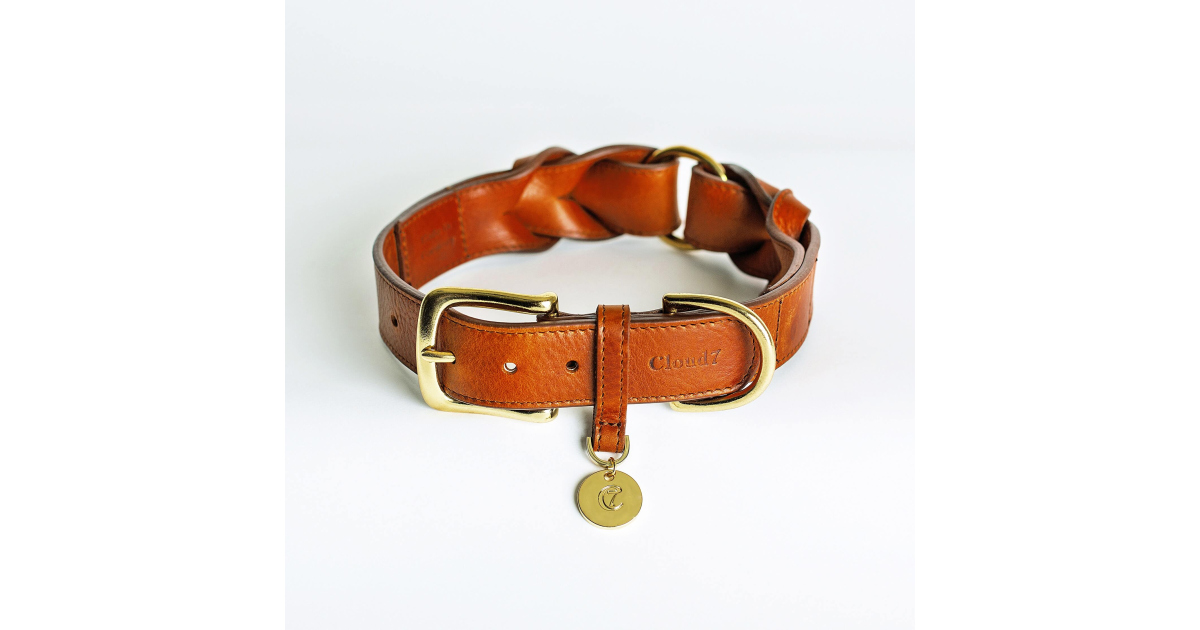 Collier our chien - Collier Hyde Park Cloud 7 - 1