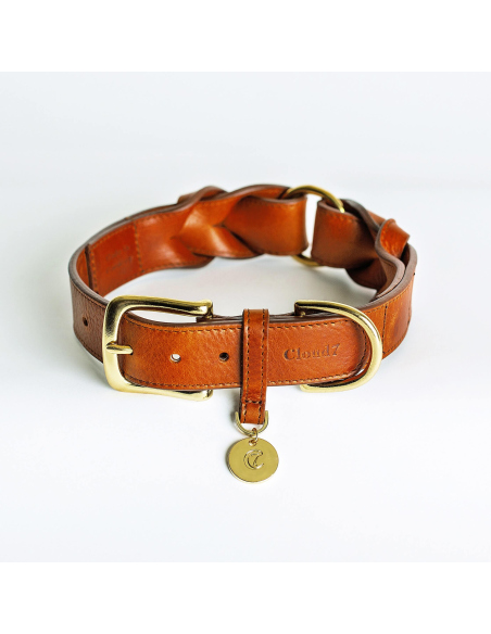 Collier our chien - Collier Hyde Park Cloud 7 - 1