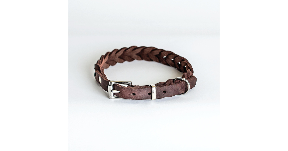 Collier our chien - Collier Central Park Cloud 7 - 1