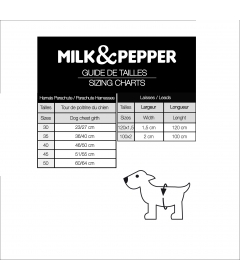 Laisse pour chiens - Laisse Dandy Milk & Pepper - 14