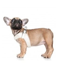 Harnais pour chien - Harnais Dandy Milk & Pepper - 25