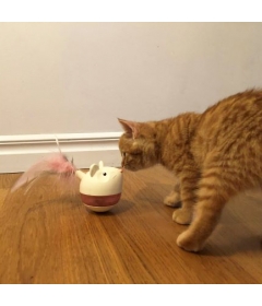 Cat Hunt & Swat Nina Ottoson - 1