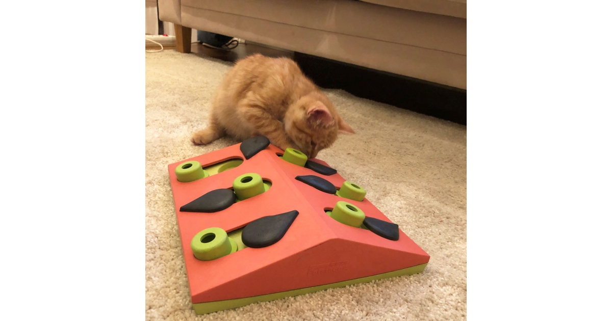 Melon Madness Puzzle & Play Nina Ottoson - 1