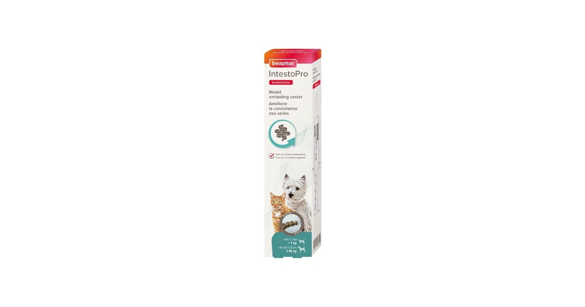 Intestop chat et petit chien