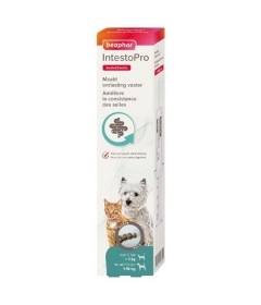 Intestop chat et petit chien