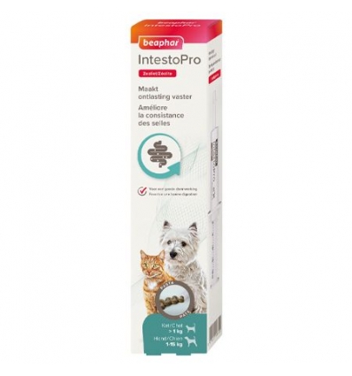 Intestop chat et petit chien