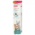 Intestop chat et petit chien