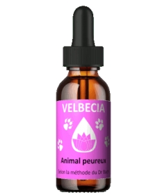 Complément alimentaire Fleur de Bach 30mL - Peur Velbecia - 1