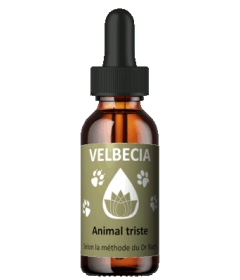 Complément alimentaire Fleur de Bach 30mL - Tristesse Velbecia - 1