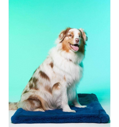 Couchage pour chiens - Le Tapis London  Le Tapis Rouge  - 1