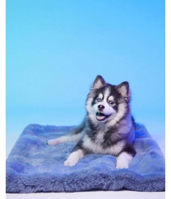 Couchage pour chiens - Le Tapis Dubai  Le Tapis Rouge  - 1