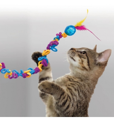 Kong - Loopz Teaser Kong - 2