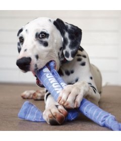 Kong - Signature crunch rope single puppy