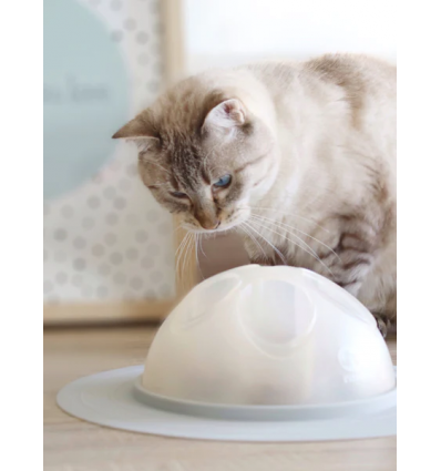 Cat Igloo interactif