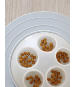 Cat Igloo interactif