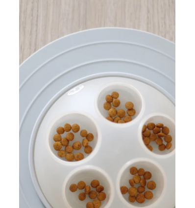 Cat Igloo interactif