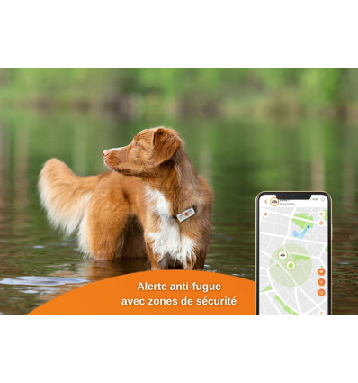 Weenect - GPS v2 pour chien
