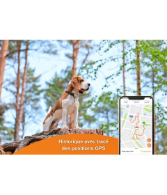 Weenect - GPS v2 pour chien