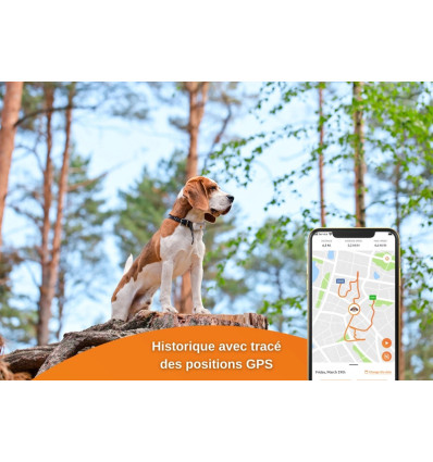 Weenect - GPS v2 pour chien