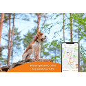 Weenect - GPS v2 pour chien