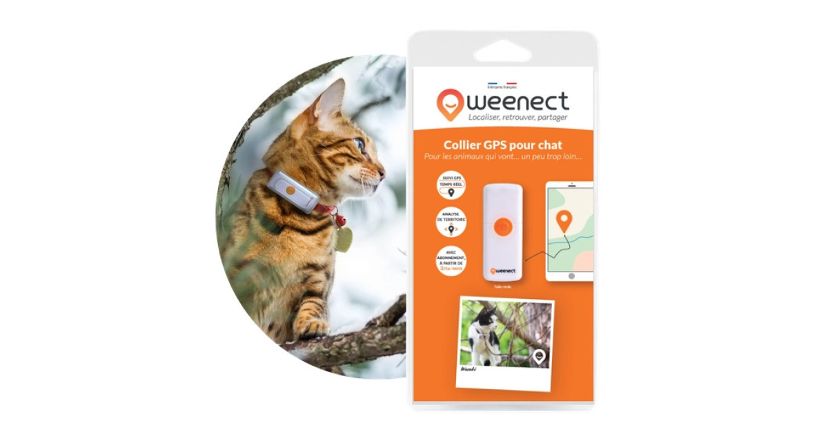 Collier pour chat GPS - Weenect - GPS v2 pour chat