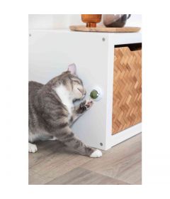 Balles de Catnip avec support