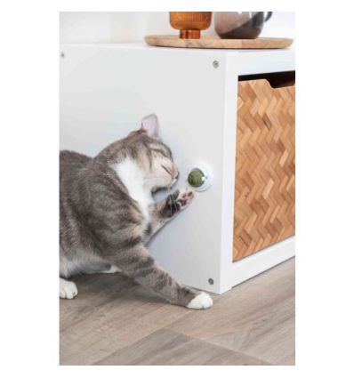 Balles de Catnip avec support