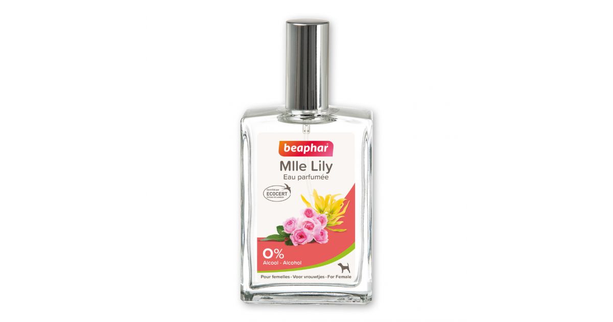 Parfum Miss Lilly