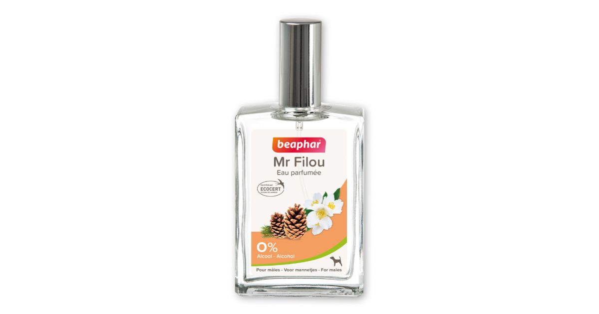 Parfum Mr Filou