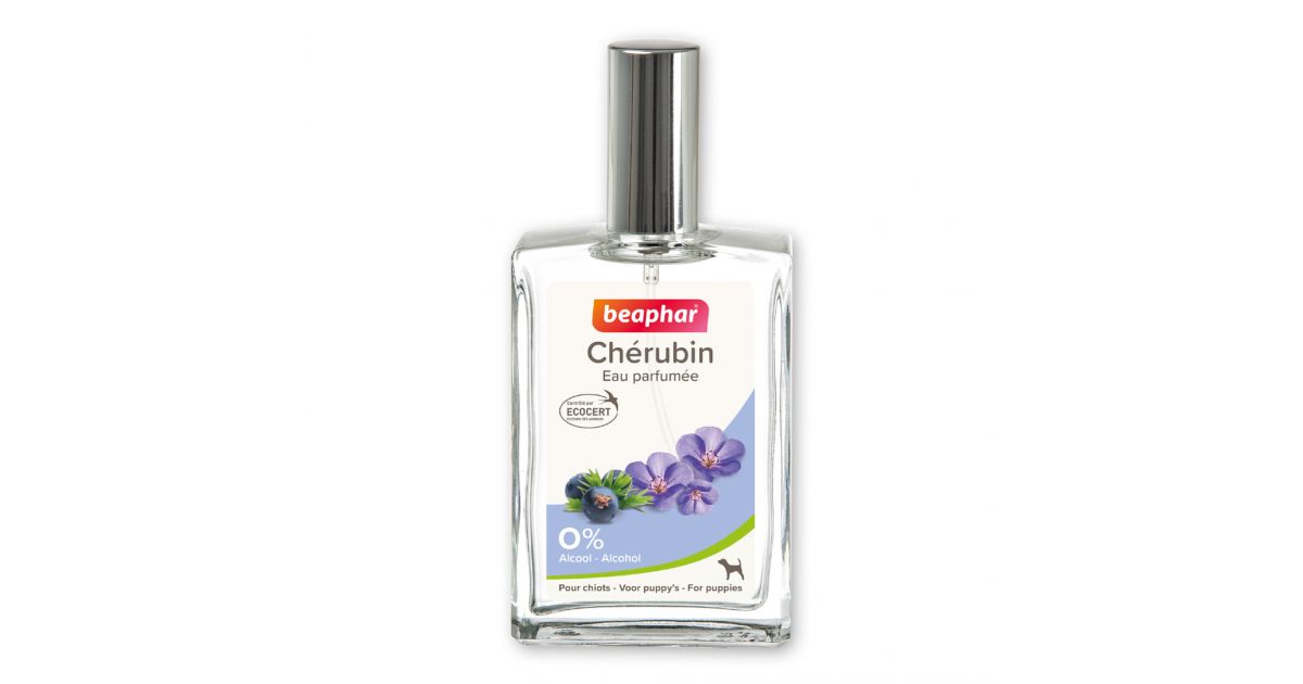 Parfum Cherubin
