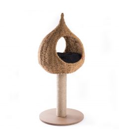 Arbre à chat goutte Balinaise