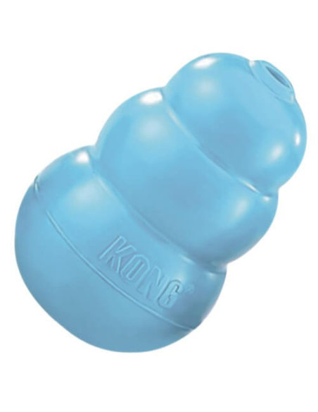Kong - puppy Kong - 1