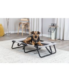 Chaise longue pour Chien