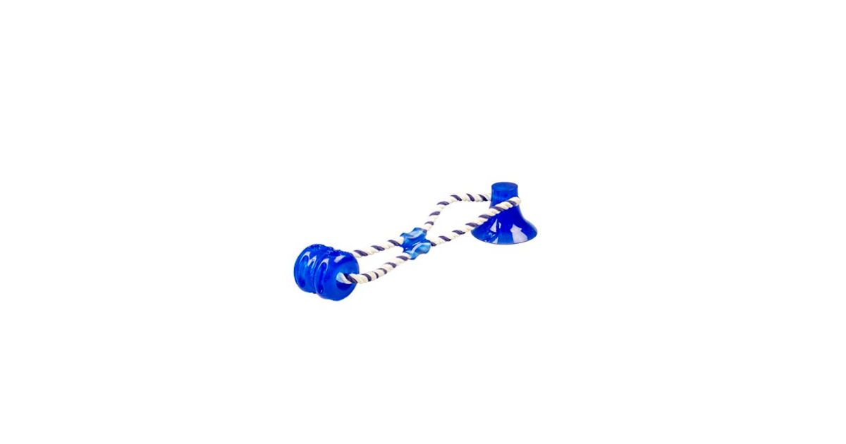 Tug n Chew Toy
