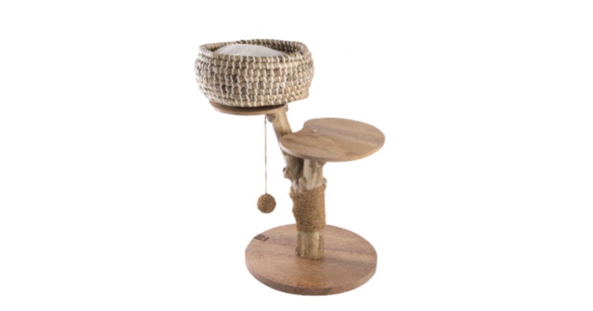 Arbre a chat Cafeier Panier 50 cm