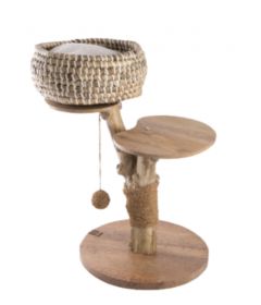 Arbre a chat Cafeier Panier 50 cm