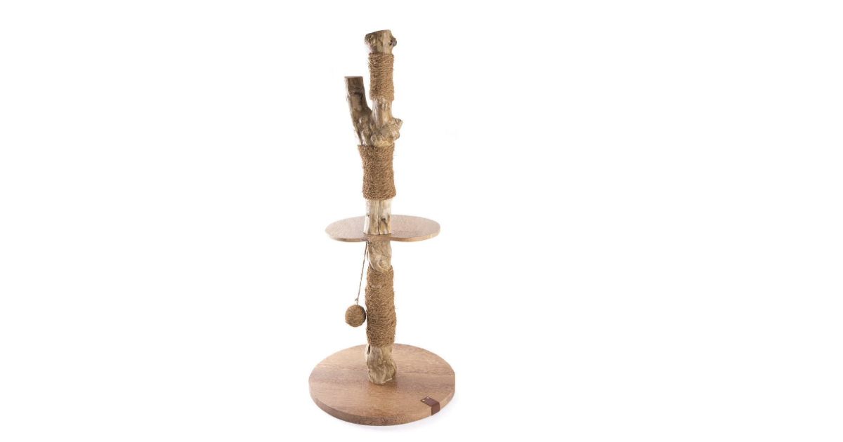 Arbre a chat Cafeier 2 niveau