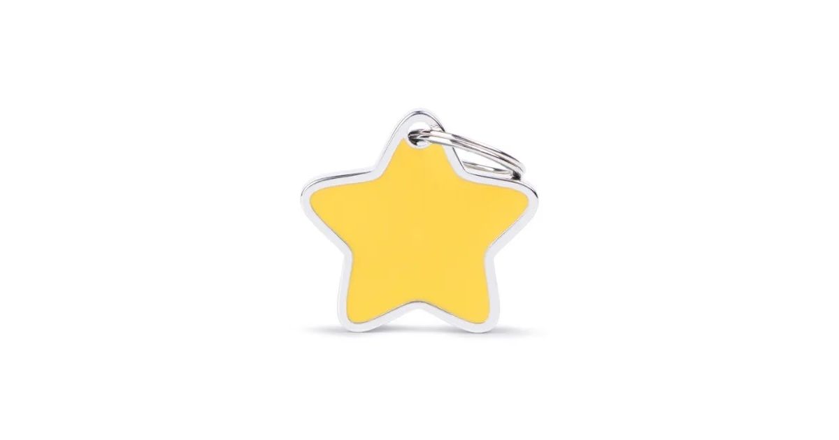 Charms - Star