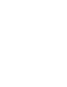 Zippy Paws
